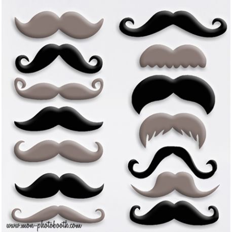 Lot de 14 Moustaches Mariage Chic Photobooth Accessoires