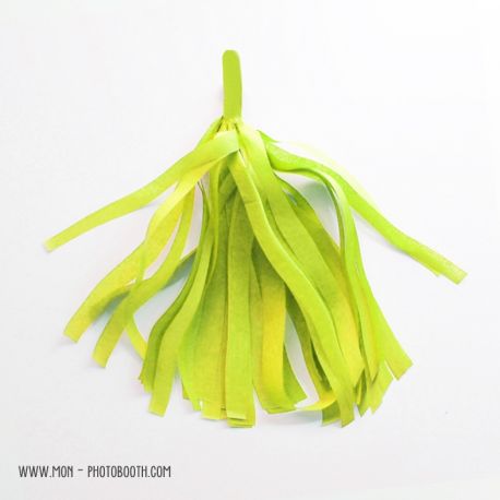 Pompon Franges Tassel - Vert Anis - Papier Soie pour Guirlande DIY